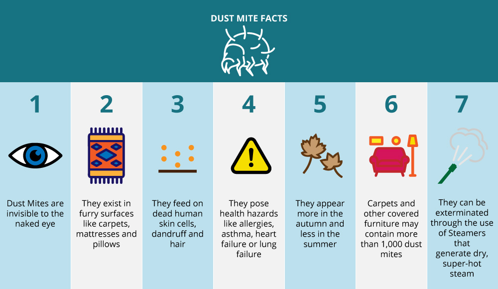 dustmite fact chart